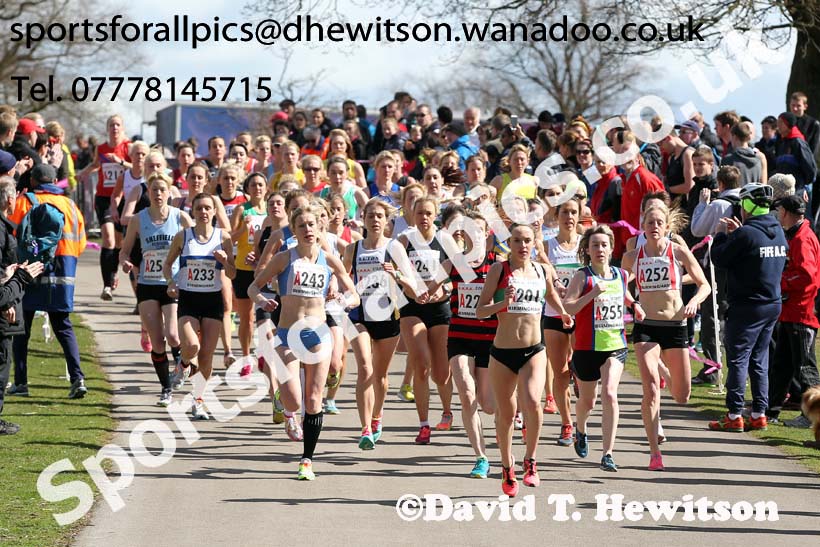 Womens 6 stage relay, Enlgish National 12 and 6 Stage Road Relays. Photo: David T. Hewitson/Sports for All Pics